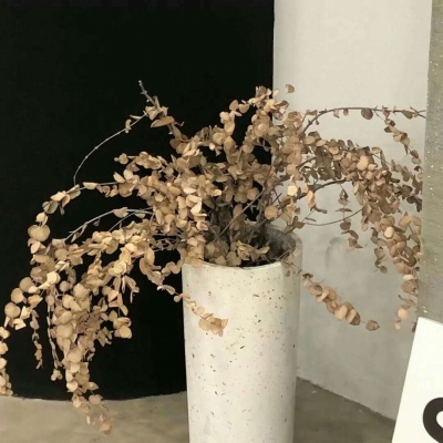 兽设创意设计灵感Furry群